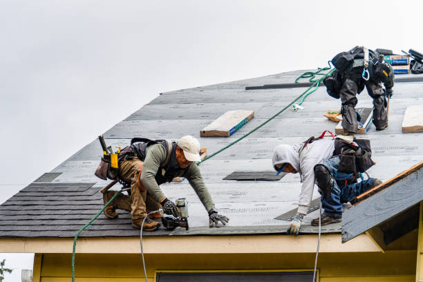 Professional Gutter Installation technician working in Rogersville, MO
